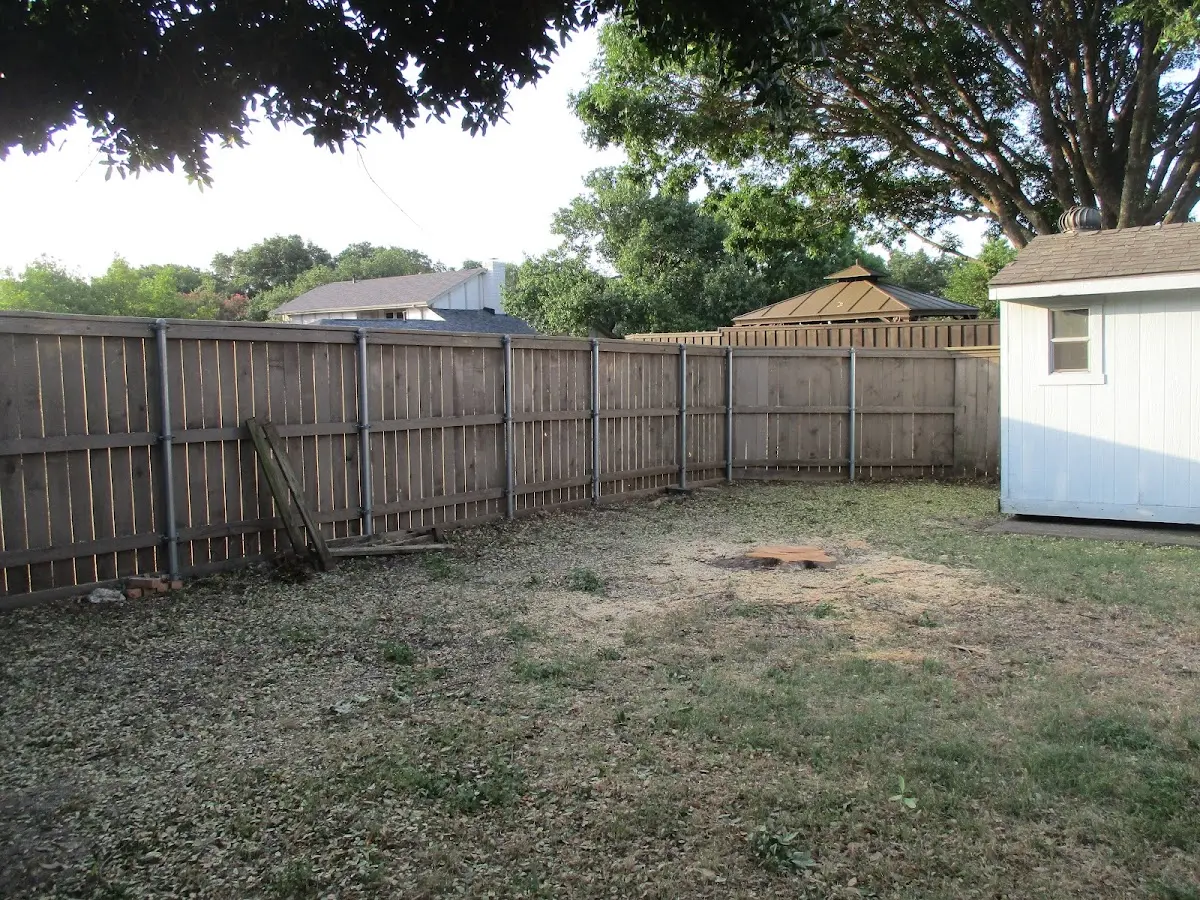 Cleared yard after professional tree removal in Mcchord Afb